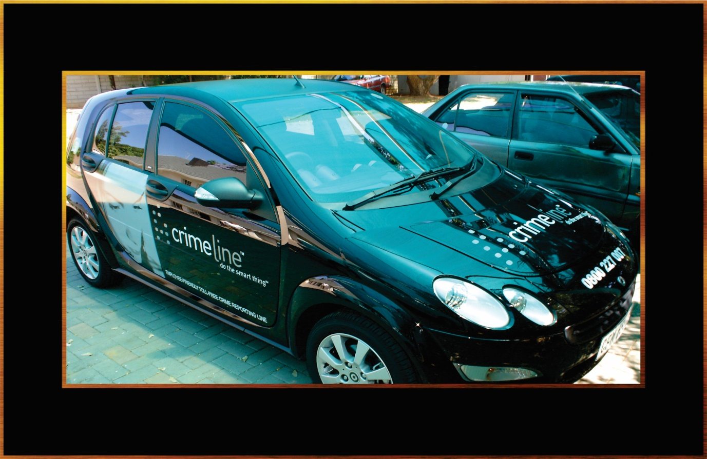 Vehicle Branding example 4 by Steampunk Signs